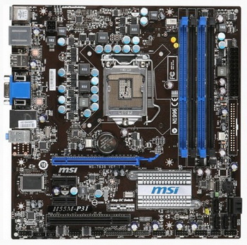 H55m-P31